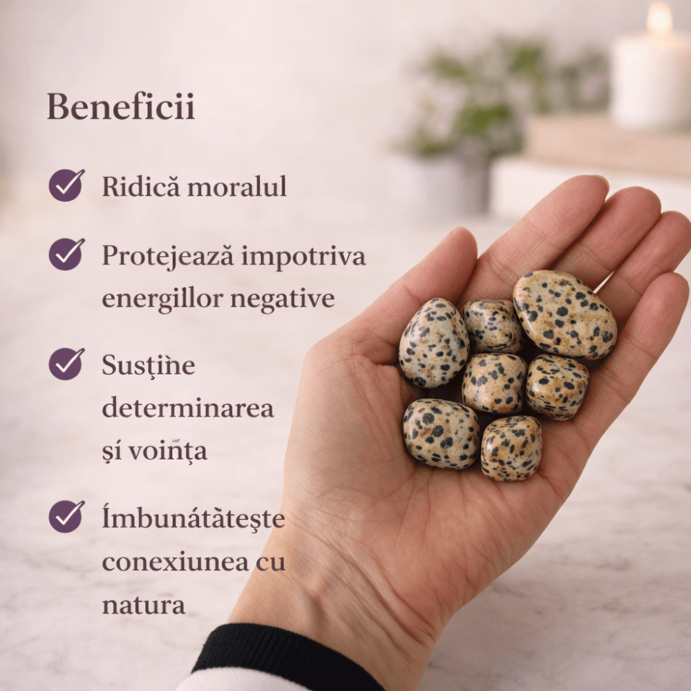 Jasp Dalmatian rulat – o piatra care aduce echilibru, stabilitate si o legatura blanda cu natura [3]