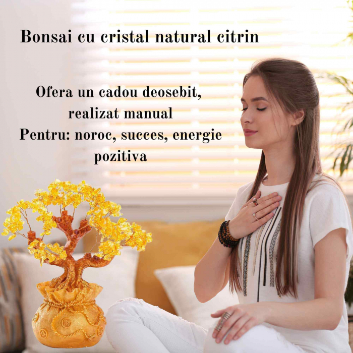 Bonsai cu cristale naturale citrin, supranumit "copacul banilor" - Copacelul cu inaltimea de 25 cm reprezinta cadoul perfect pentru prosperitate, succes, energie pozitiva [6]