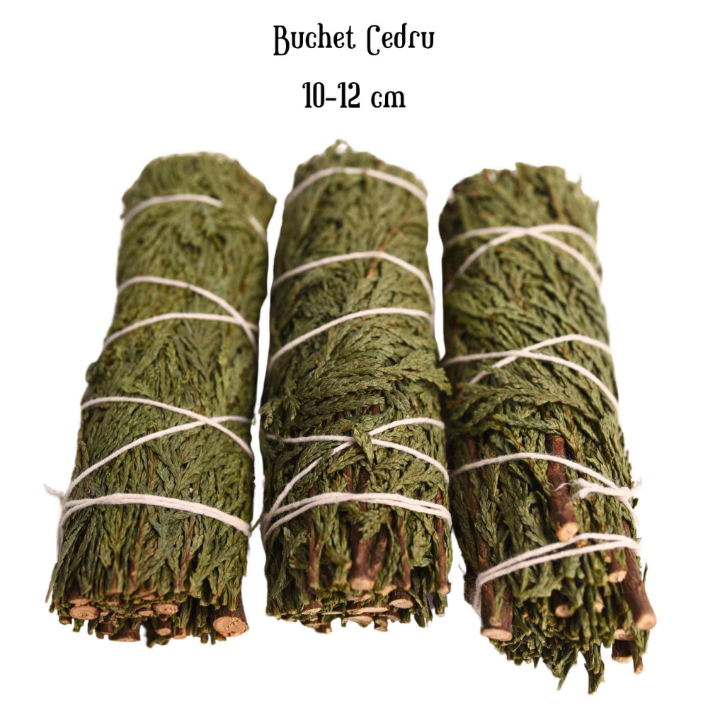 Buchet Cedru - Protectie si Purificare Energetica [4]