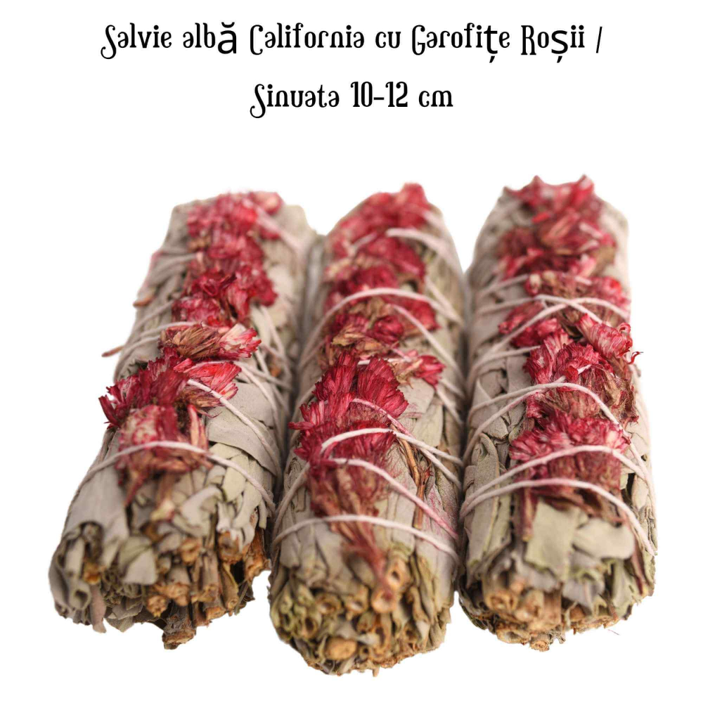 Buchet Salvie Alba California cu Garofite Rosii - Pasiune si Protectie [4]