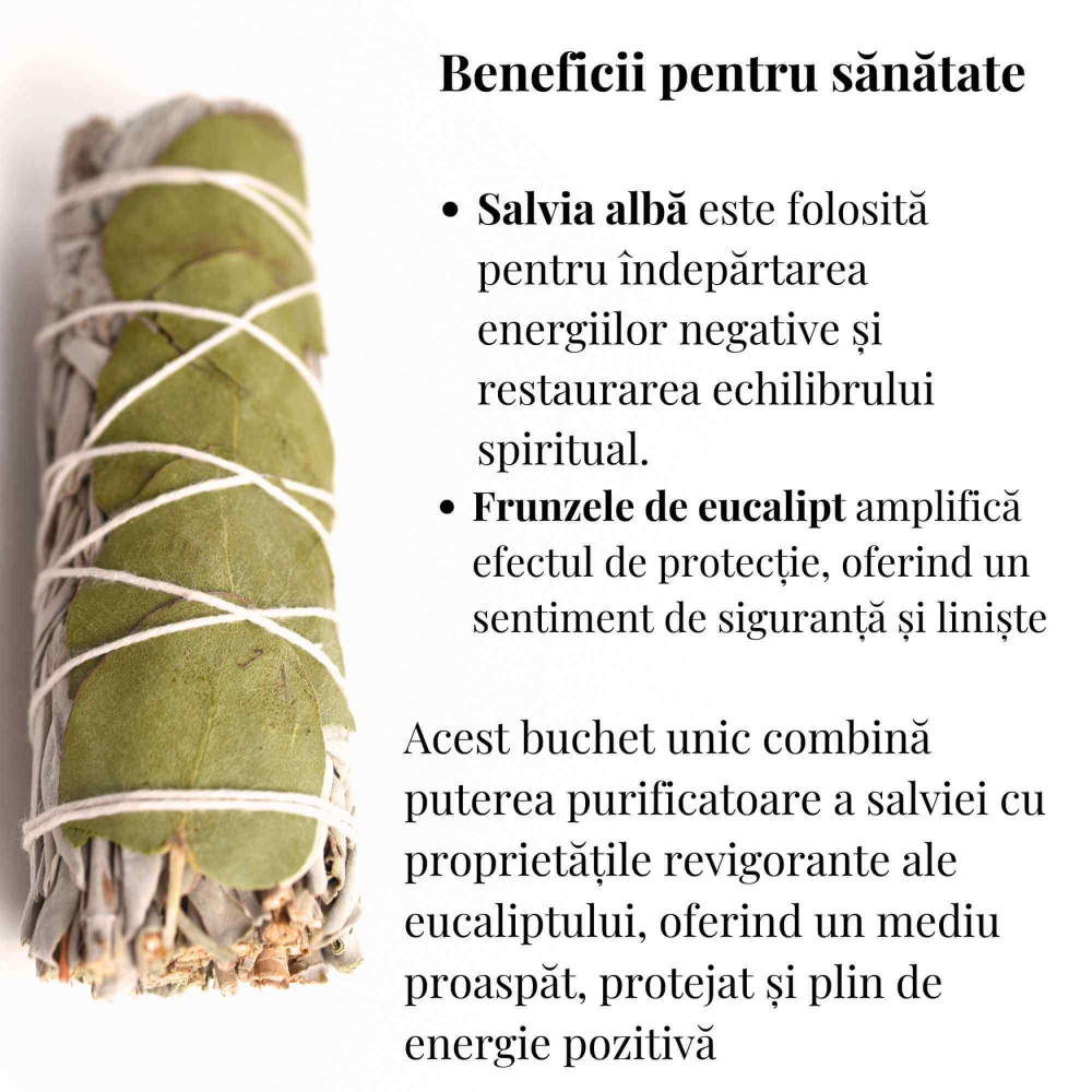 Buchet Salvie Alba California cu Frunze de Eucalipt - Purificare si Revitalizare [3]