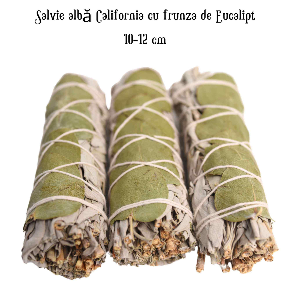 Buchet Salvie Alba California cu Frunze de Eucalipt - Purificare si Revitalizare [4]