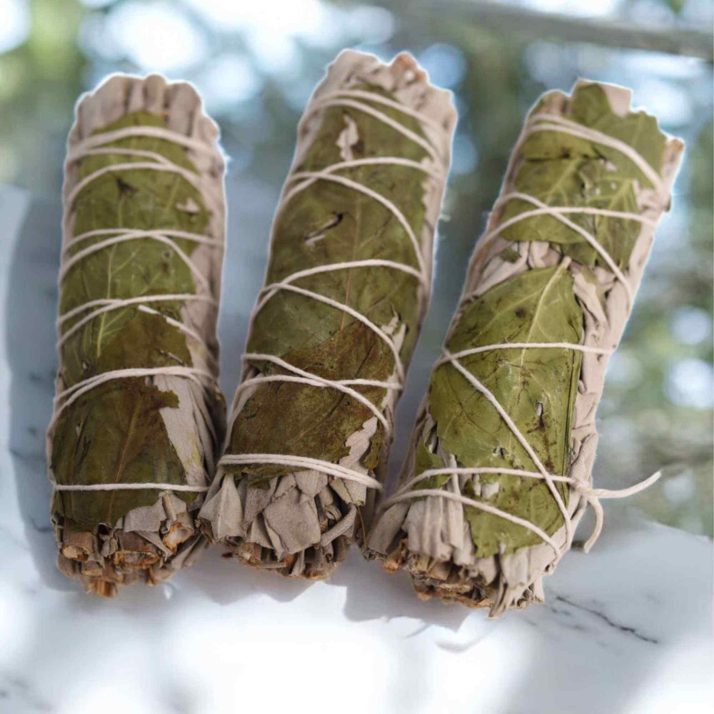 Buchet Salvie Alba California cu Busuioc - Purificare si Armonie Energetica [4]