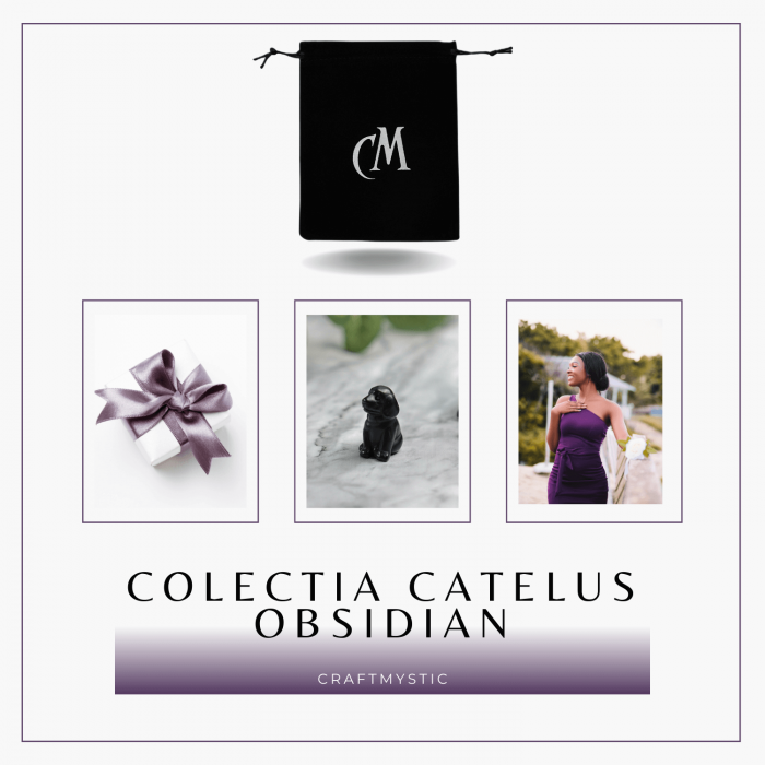 Figurina Artizanala 30mm Catelus din Obsidian [8]