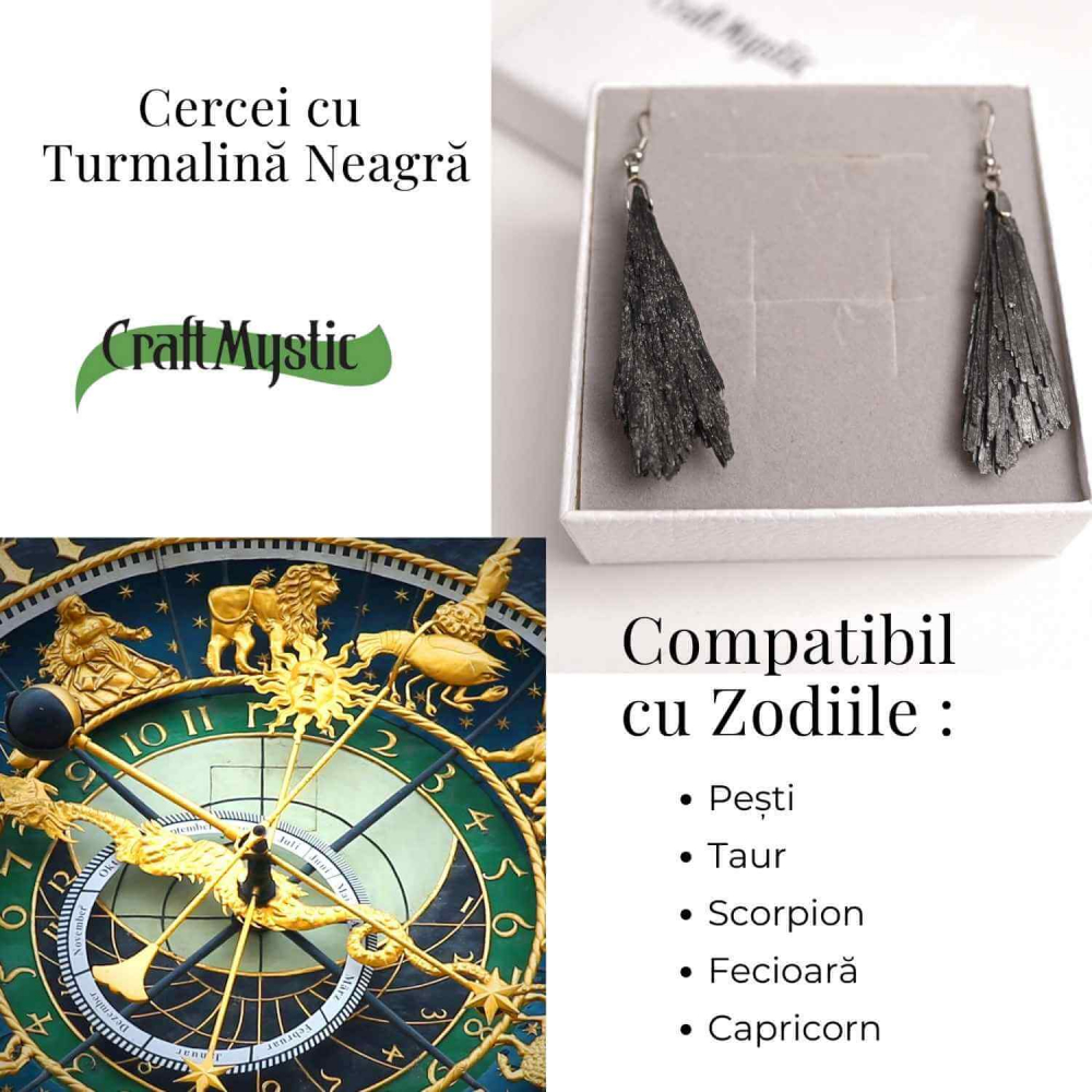 Cercei cu Turmalina Neagra model Aripa – Protectie si Eleganta Naturala [4]