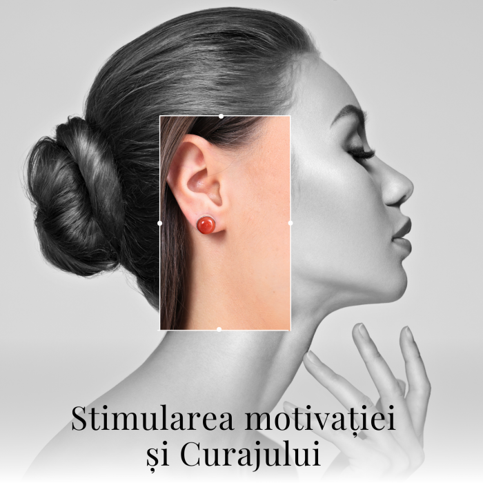 Cercei Eleganti cu Carneol Natural, inchidere pe surub, pentru energie si curaj [3]