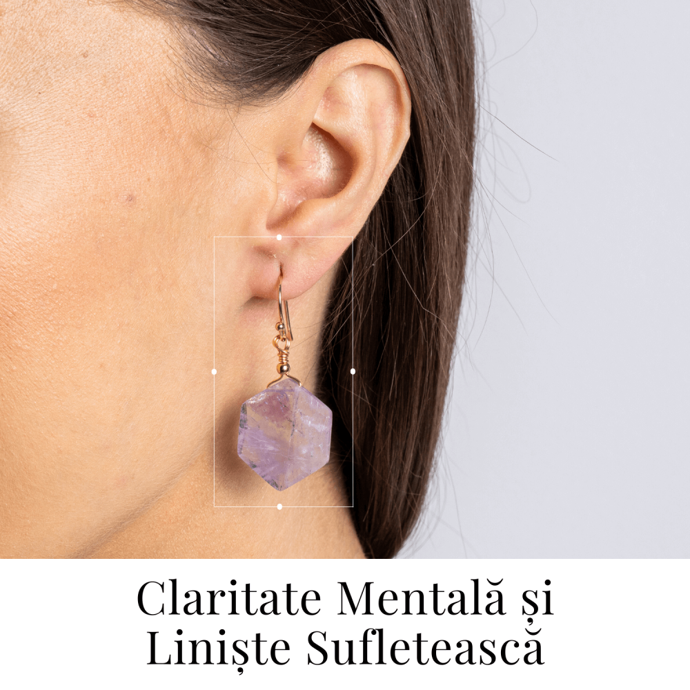 Claritate si Liniste – Cercei cu Ametist Hexagonal [2]