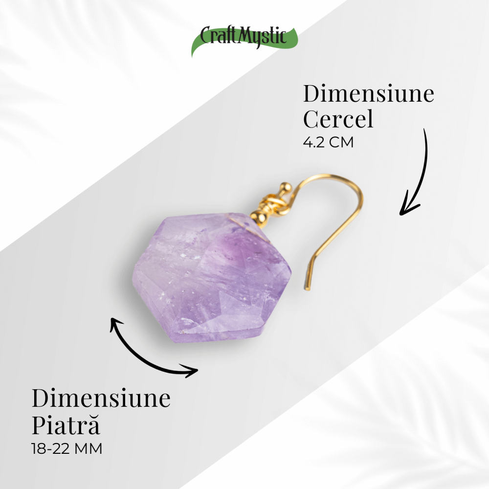 Claritate si Liniste – Cercei cu Ametist Hexagonal [4]