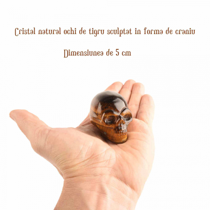 Craniu 5 cm sculptat manual din cristal de Ochi de tigru piatra semipretioasa vindecatoare Figurină artistica pentru decor de Halloween, decoraratiune pentru biroul de acasa [2]