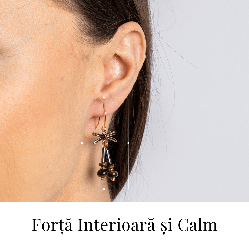 Forta Interioara si Calm – Cercei cu Hematit si Ochi de Tigru [2]