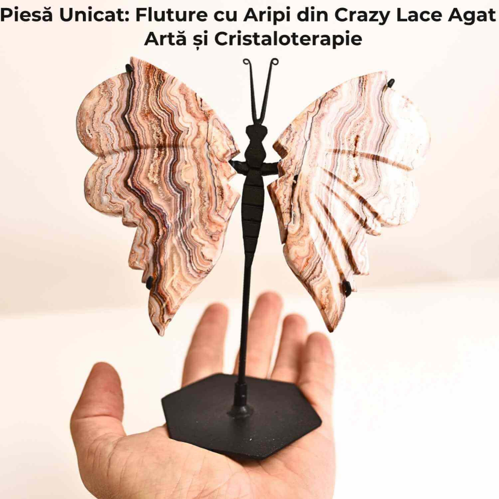 Fluture cu aripi din Crazy Lace Agat – Simbol al transformarii si frumusetii naturale [5]