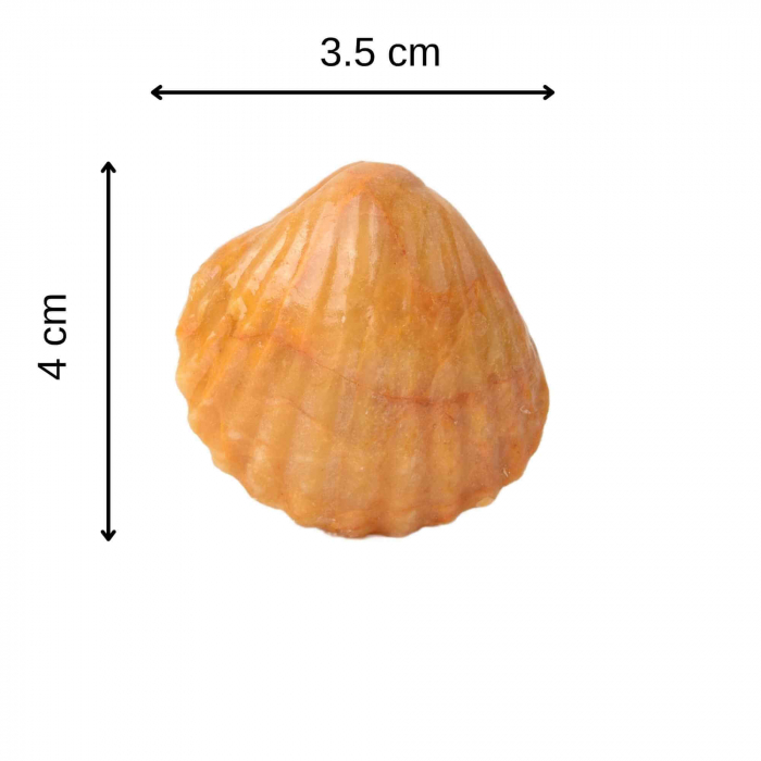 Figurina 4 cm din cristal natural in forma de scoica, ornamente pentru acvariu, marturie tip cadou de nunta, proiecte DIY [3]