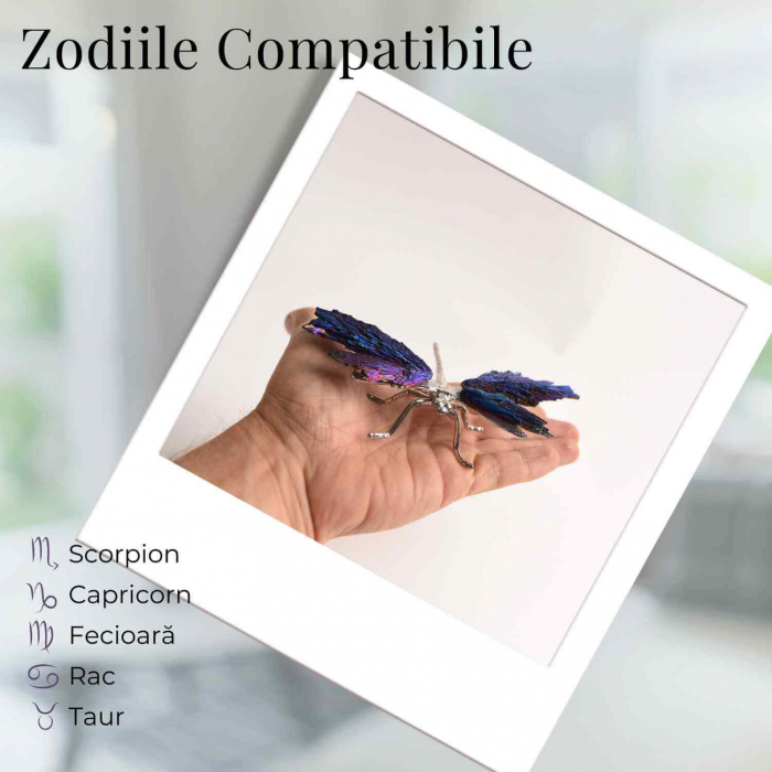 Amuleta Transformare - Libelula Turmalina Neagra Curcubeu [4]