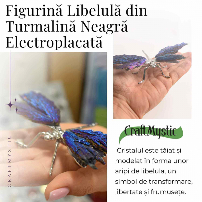Amuleta Transformare - Libelula Turmalina Neagra Curcubeu [2]