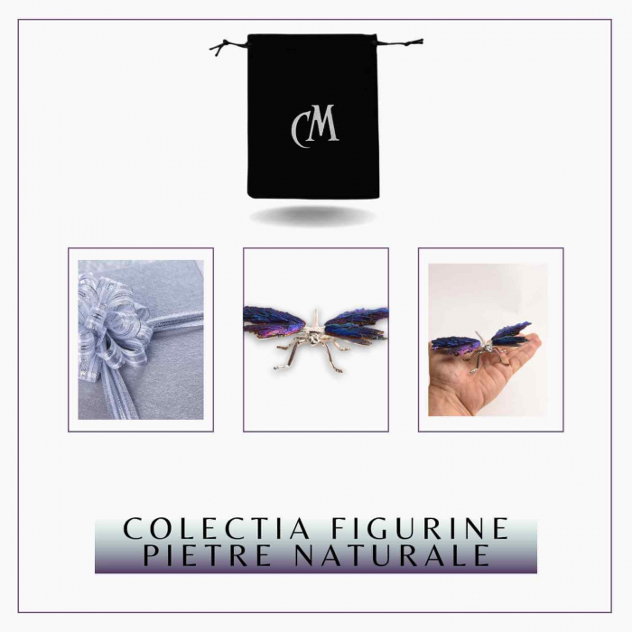Amuleta Transformare - Libelula Turmalina Neagra Curcubeu [8]