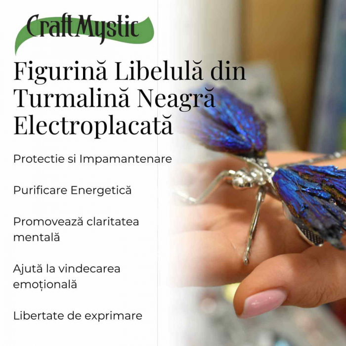 Amuleta Transformare - Libelula Turmalina Neagra Curcubeu [3]