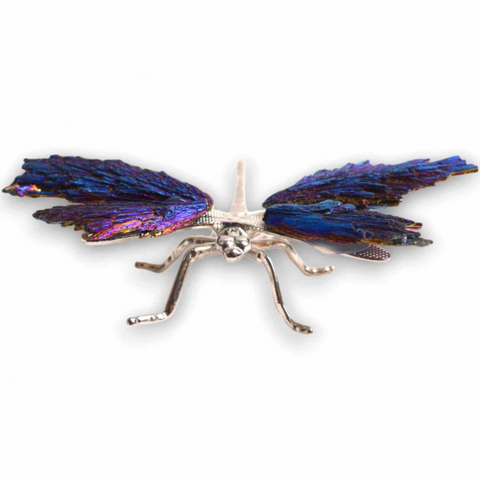 Amuleta Transformare - Libelula Turmalina Neagra Curcubeu [6]