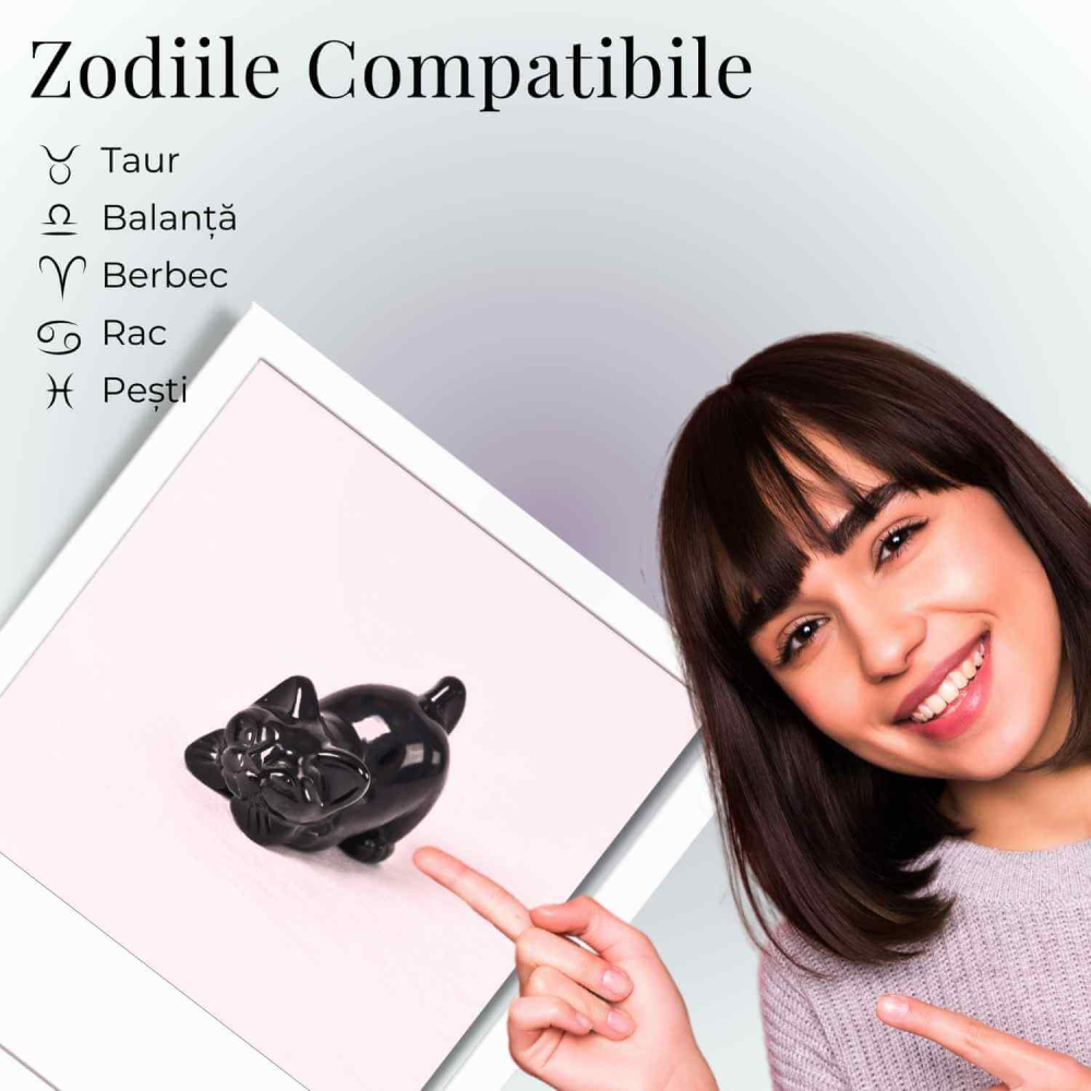 Pisicuta Alintata din Obsidian Negru – Talisman de Protectie si Intuitie [5]