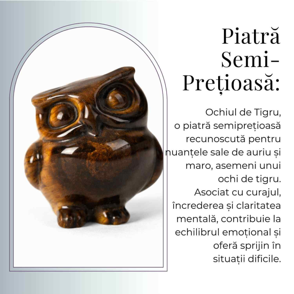 Bufnita Intelepciunii din Ochi de Tigru – Claritate Mentala si Protectie Spirituala [7]