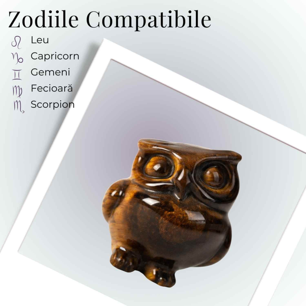 Bufnita Intelepciunii din Ochi de Tigru – Claritate Mentala si Protectie Spirituala [4]