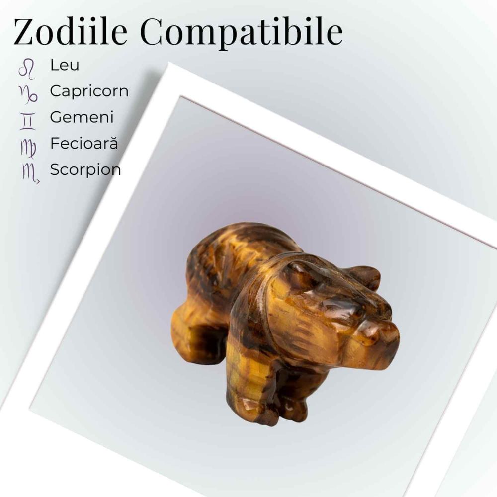 Urs Protector din Ochi de Tigru – Forta Interioara si Stabilitate Energetica [5]