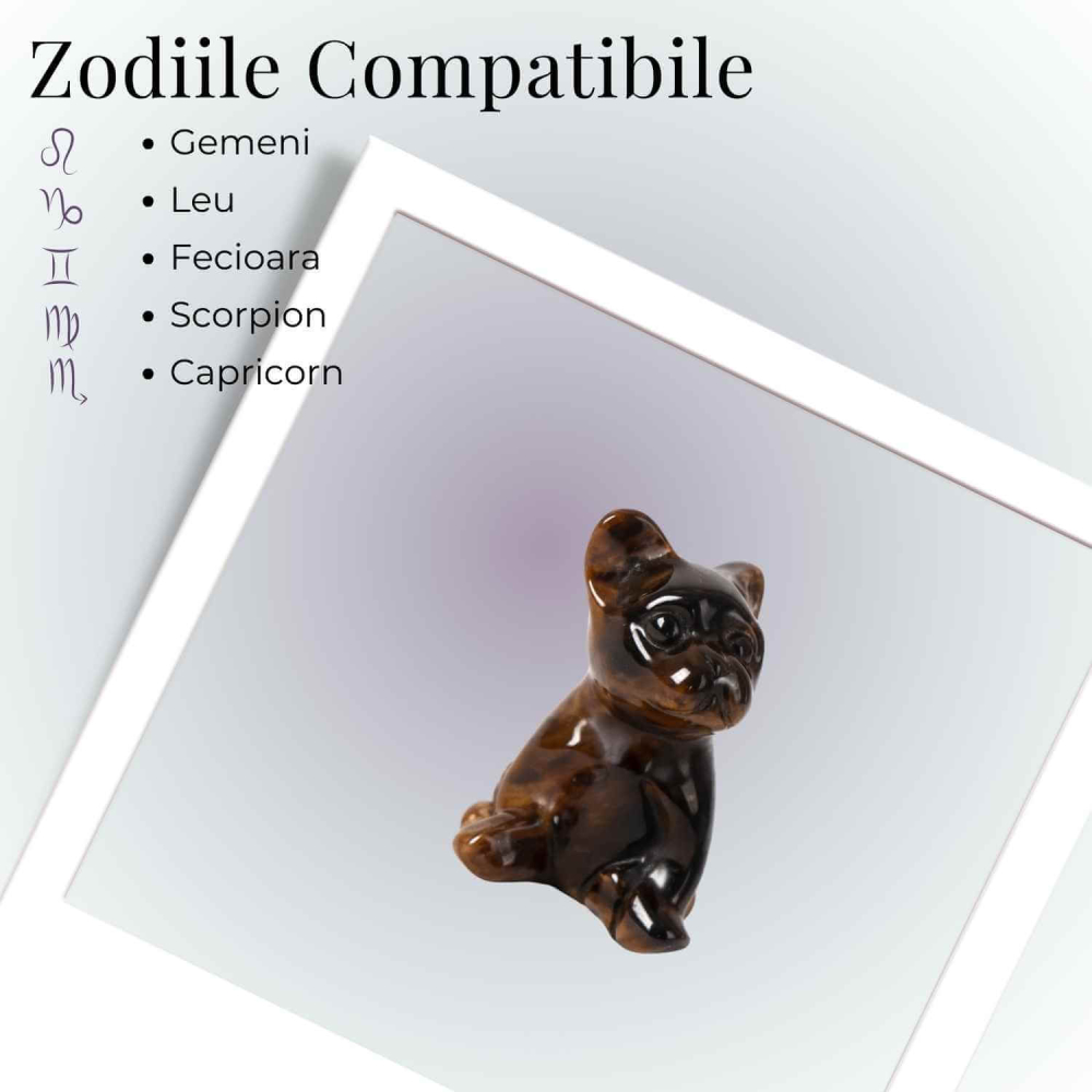 Catel protector din Ochi de Tigru – Curaj, Loialitate si Energie de Protectie [4]