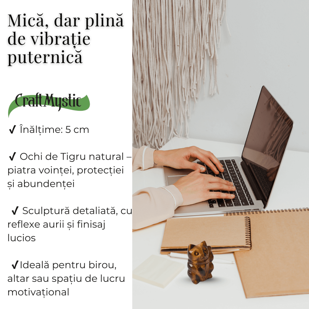 Pisicuta prosperitatii – Ochi de Tigru pentru Succes, Claritate si Protectie [4]