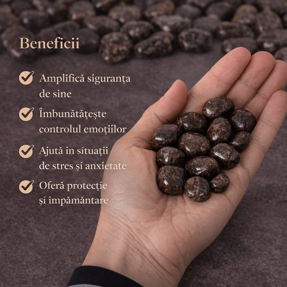 Bronzitul – piatra care aduce stabilitate interioara si curaj linistit in pasii de zi cu zi [3]