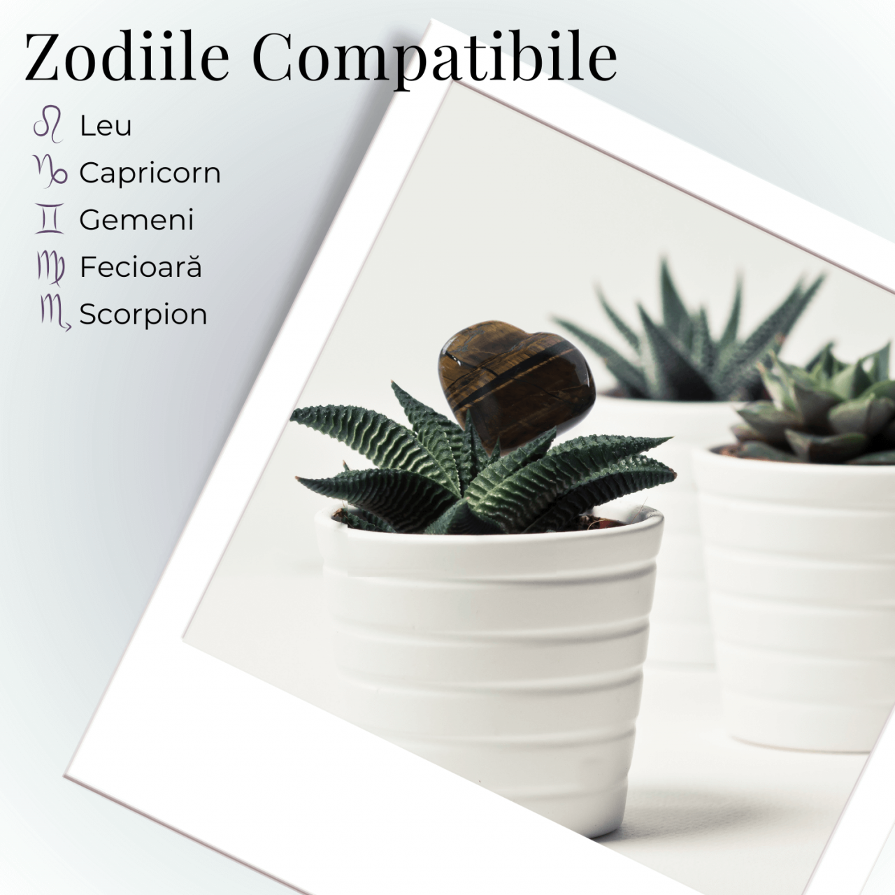 Inima Sculptata Manual de 30mm din Ochi de Tigru - Protectie si Curaj [7]