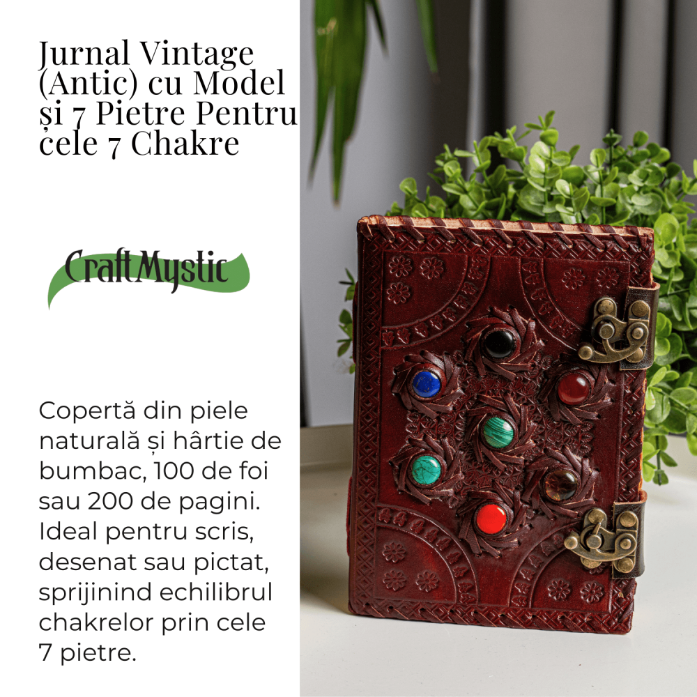 Jurnal Vintage Visiniu cu Cele 7 Pietre Chakre [4]