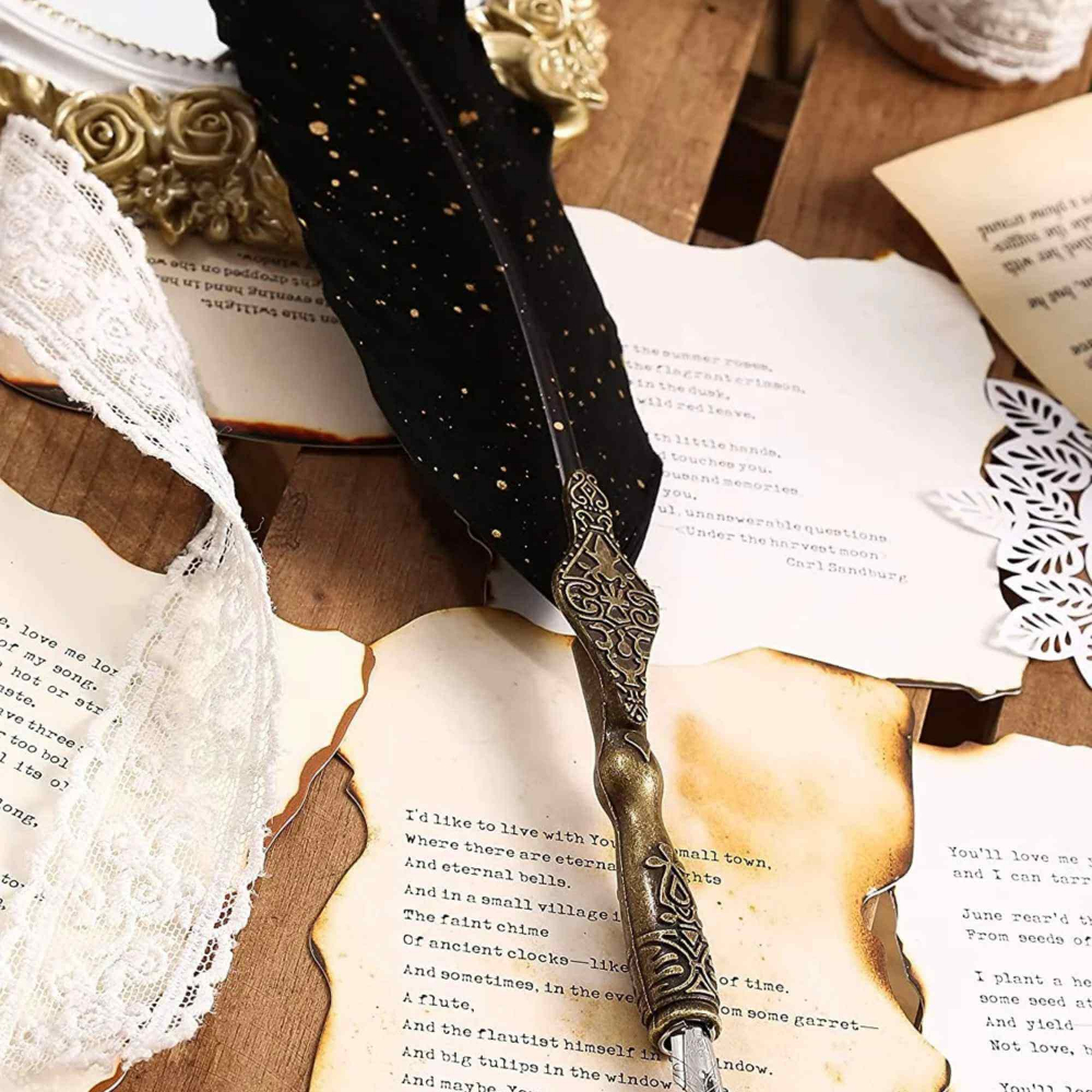 Set Stilou cu Pana - Caligrafie eleganta, cadoul perfect pentru orice ocazie [6]