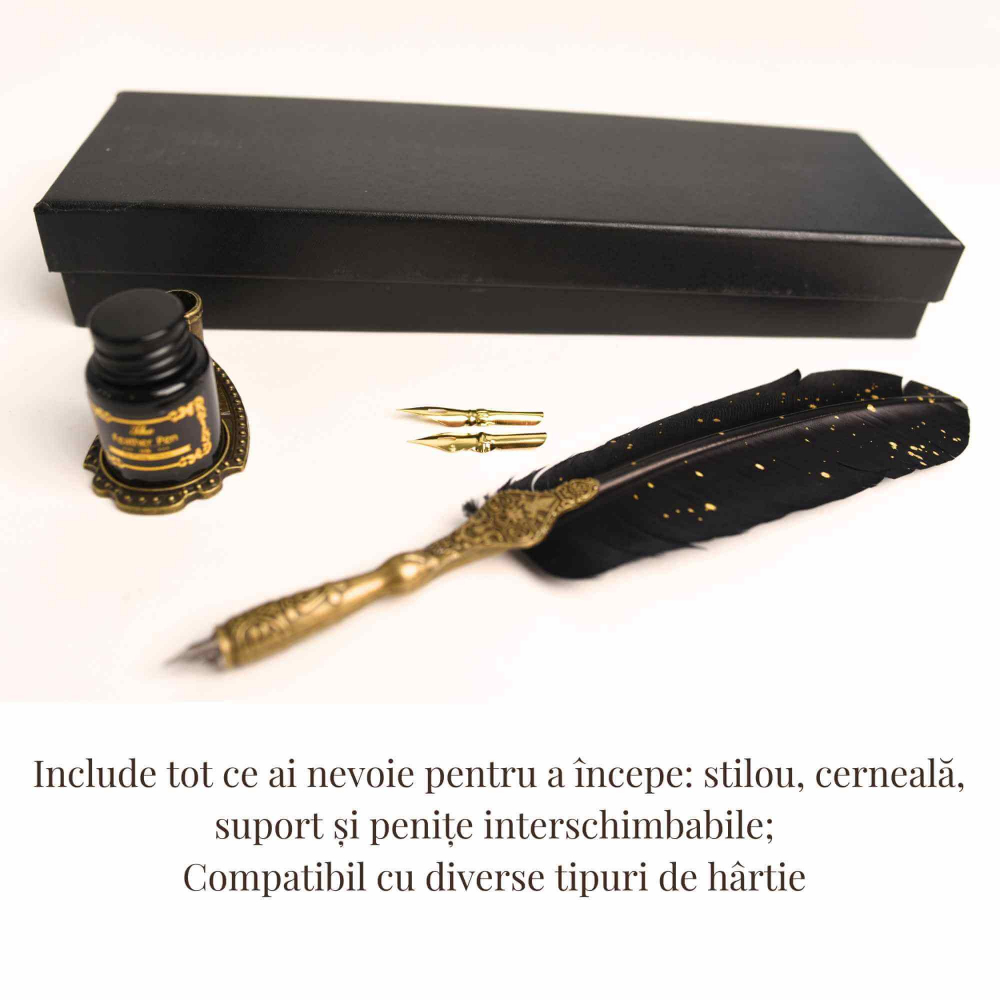 Set Stilou cu Pana - Caligrafie eleganta, cadoul perfect pentru orice ocazie [4]