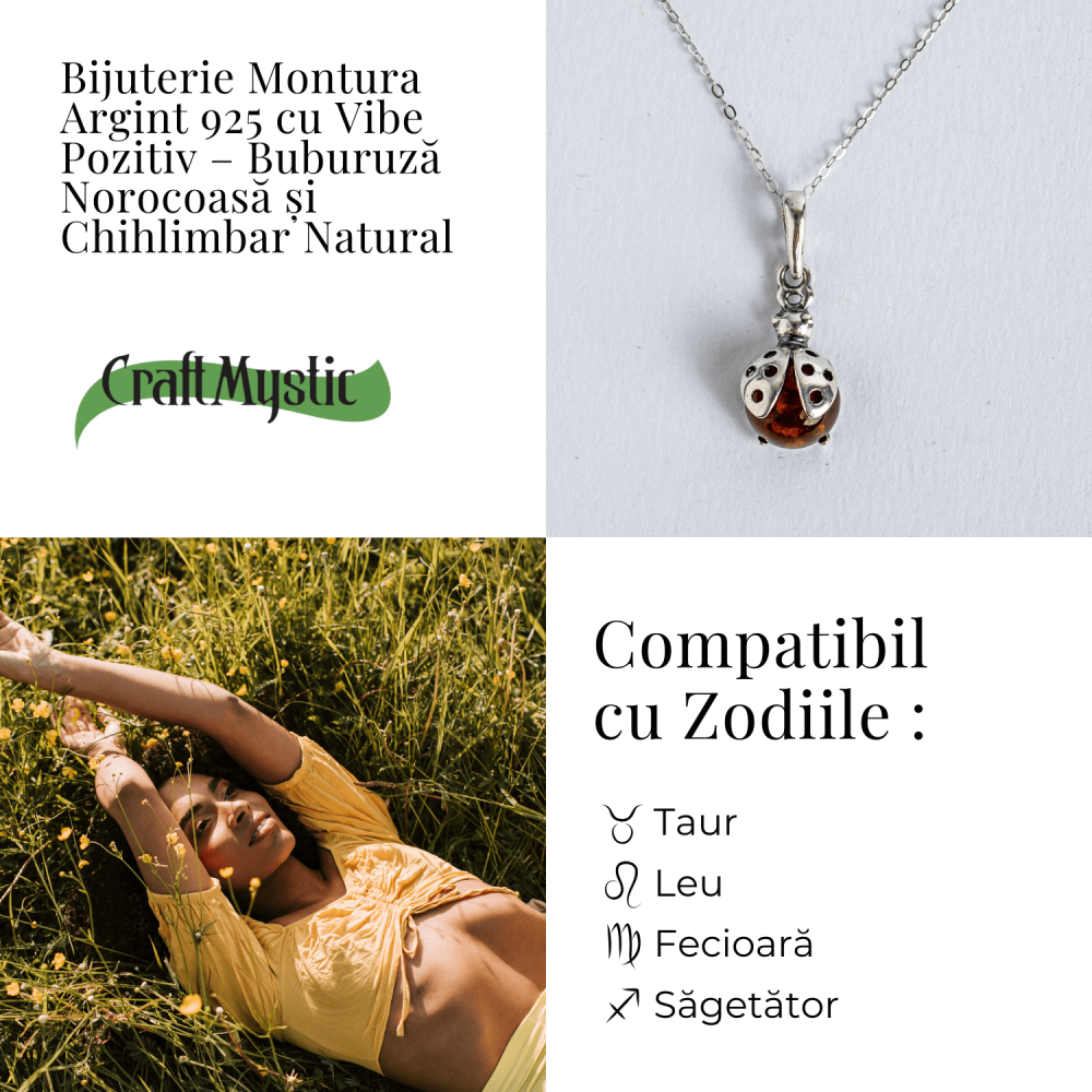 Colier Buburuza cu Chihlimbar si Lant Argint 925 [4]