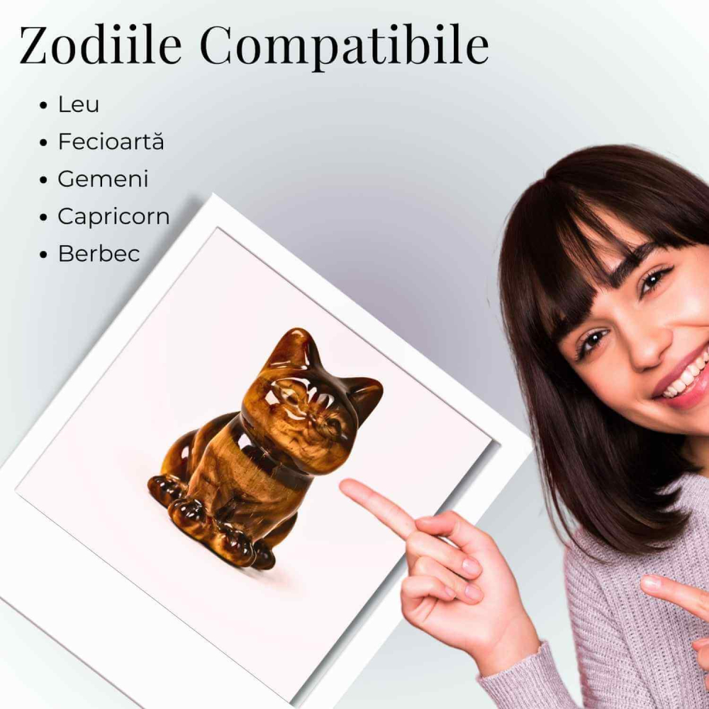 Figurina Pisica din Ochi de Tigru – Protectie, Curaj si Incredere Personala [4]