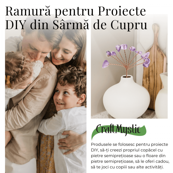 Ramurica DIY din Pietre Naturale Ametist (9 Pietricele) [4]