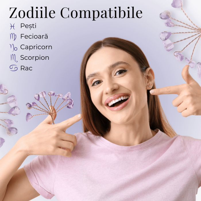 Ramurica DIY din Pietre Naturale Ametist (9 Pietricele) [7]