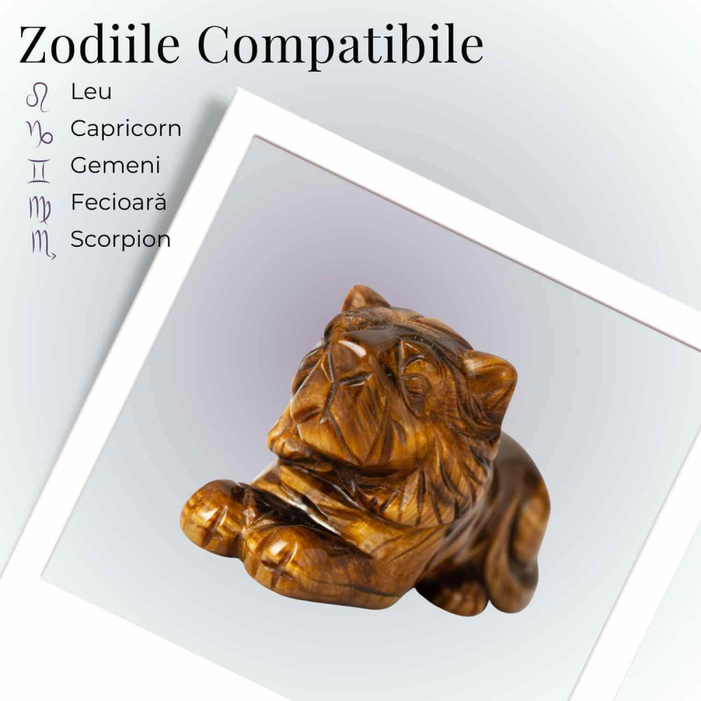 Leu Sacru din Ochi de Tigru – Putere Interioara si Protectie Energetica [5]