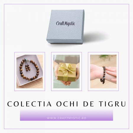 Bratara Elastica cu Margele 6mm din Pietre Semipretioase Ochi de Tigru, Tucurasi si Pandativ [6]