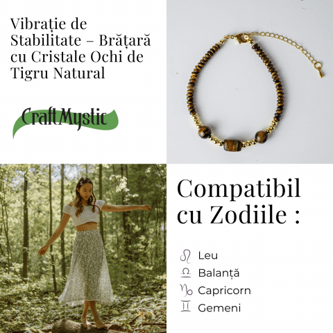 Vibratie de Stabilitate – Bratara cu Ochi de Tigru Natural [4]
