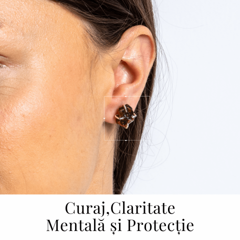 Cercei argintii cu Ochi de Tigru brut – Protectie, curaj si claritate mentala [1]