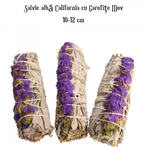 Buchet Salvie Alba California cu Grofite Mov / Sinuata - Echilibru si Claritate [3]