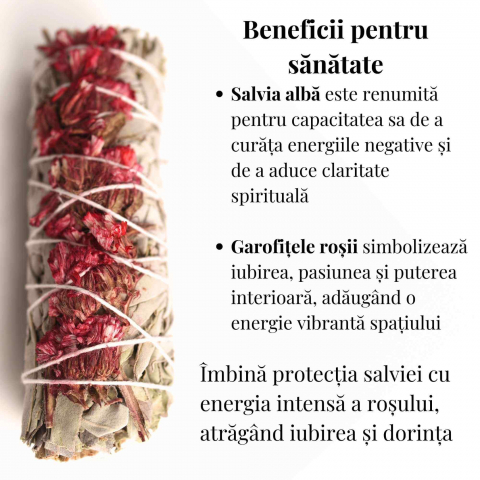 Buchet Salvie Alba California cu Garofite Rosii - Pasiune si Protectie [2]