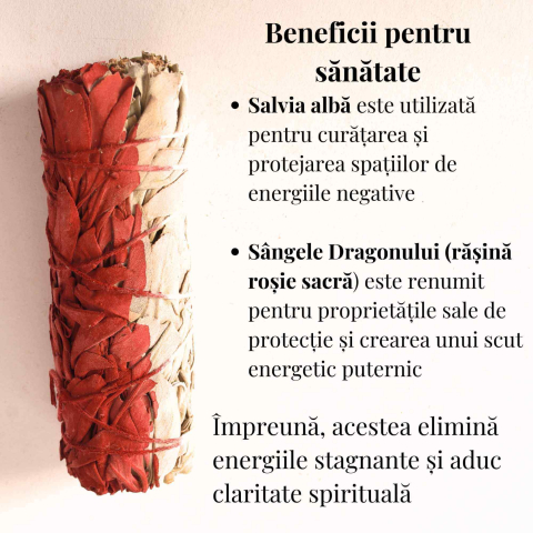 Salvie Alba cu Sangele Dragonului – Buchet Ritualic pentru Purificare si Protectie [2]