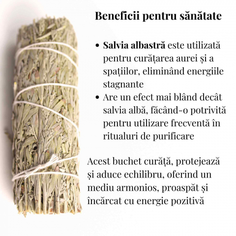 Buchet Salvie Albastra California - Protectie si Claritate Mentala [2]