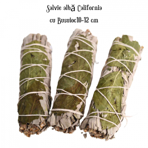 Buchet Salvie Alba California cu Busuioc - Purificare si Armonie Energetica [5]