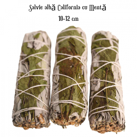 Buchet Salvie Alba California cu Menta - Purificare si Revitalizare [3]