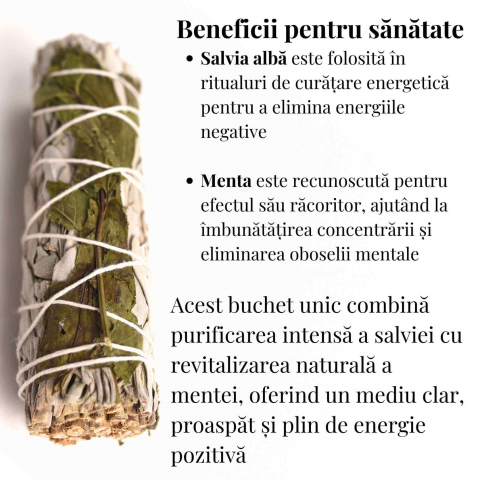 Buchet Salvie Alba California cu Menta - Purificare si Revitalizare [2]