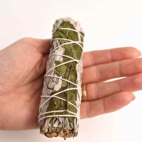 Buchet Salvie Alba California cu Menta - Purificare si Revitalizare [4]