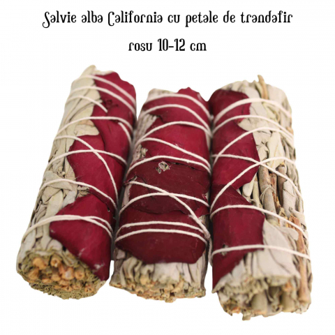 Buchet Salvie Alba California cu Petale de Trandafir Rosu – Purificare si Iubire [3]