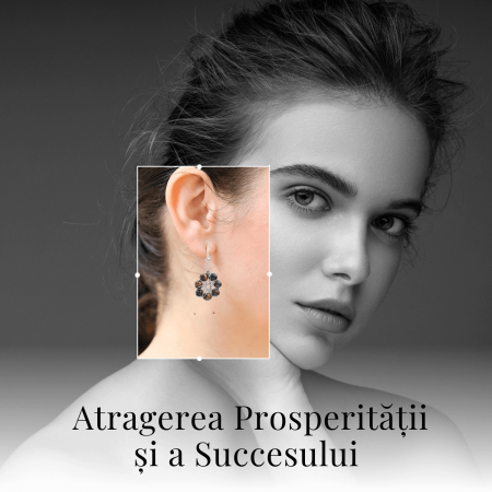 Cercei Argintii in Forma de Floare cu Ochi de Tigru - Sporirea Curajului si Claritatii Mentale [6]